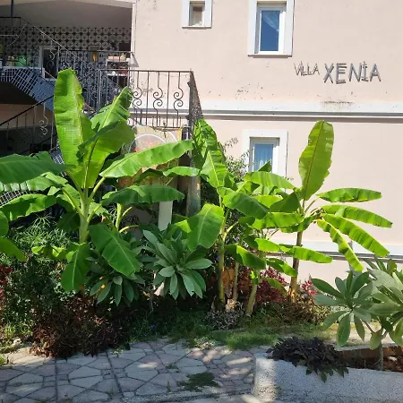 Xenia * 凯梅尔