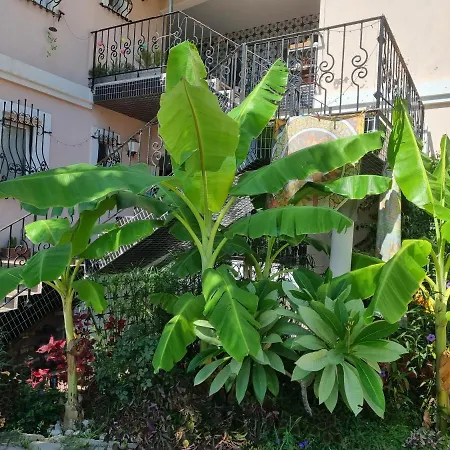 Xenia Apartment Kemer