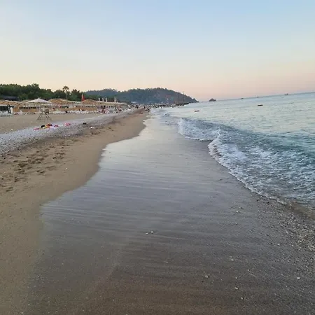 Daire Xenia