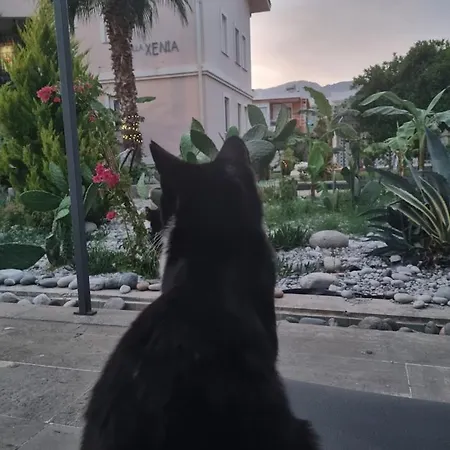 Апартаменты Xenia Кемер